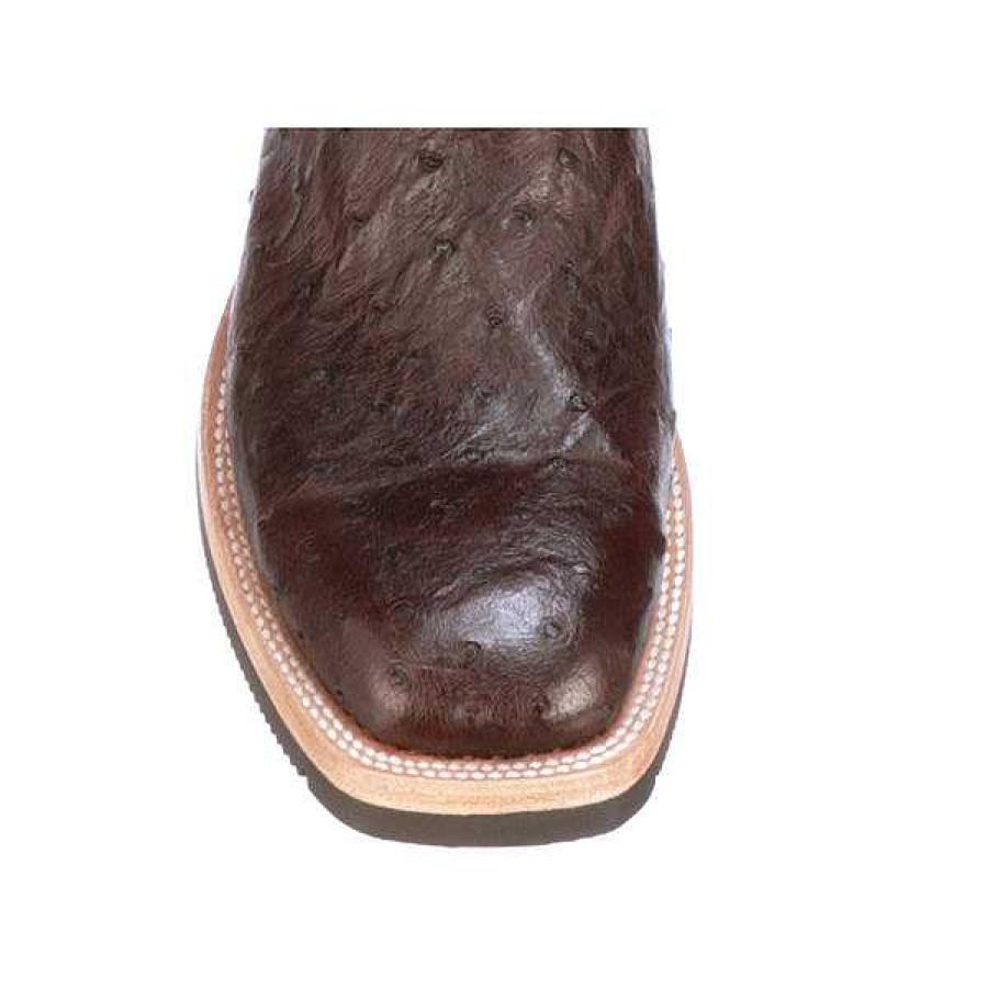 Men Lucchese | Rowdy Ostrich