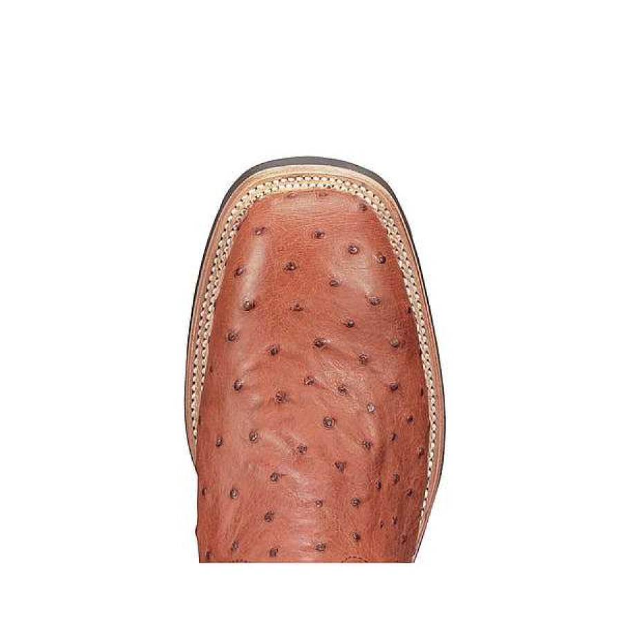 Men Lucchese | Rowdy Ostrich